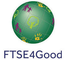 logo_ftse1.jpg